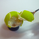 Illustration for article titled I Had No Idea Tennis Balls Could Look so Delicious